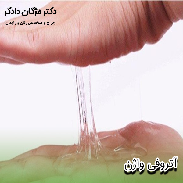 آتروفی واژن - دکتر دادگر