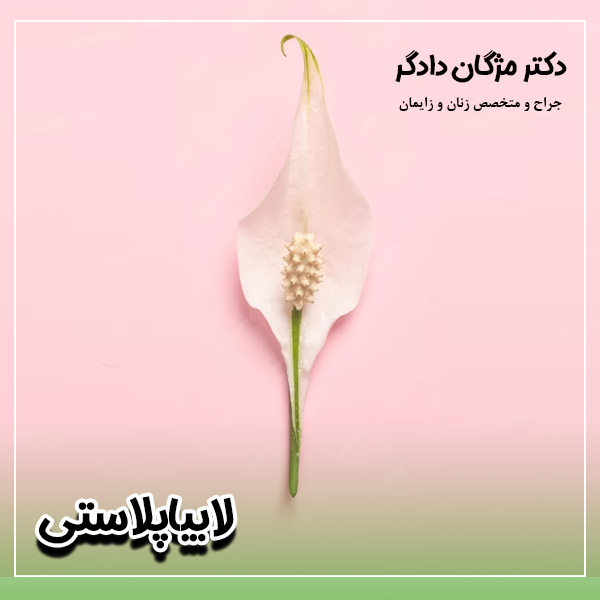 لابیاپلاستی - دکتر دادگر